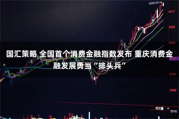 国汇策略 全国首个消费金融指数发布 重庆消费金融发展勇当“排头兵”