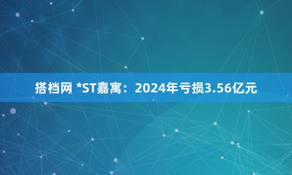 搭档网 *ST嘉寓:2024年亏损3.56亿元