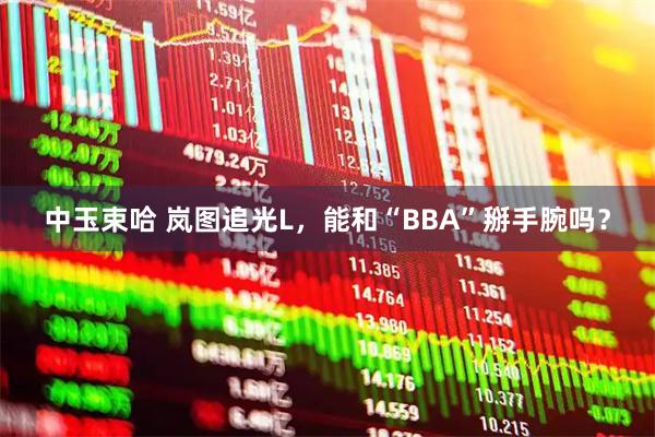 中玉束哈 岚图追光L,能和“BBA”掰手腕吗?