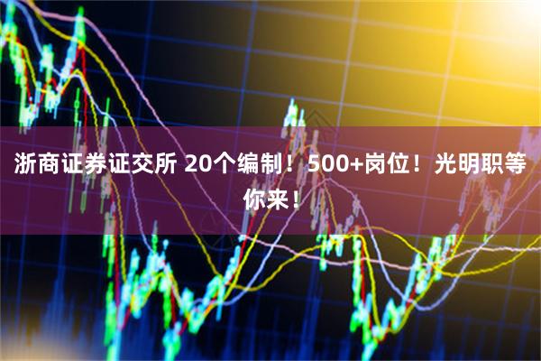 浙商证券证交所 20个编制！500+岗位！光明职等你来！