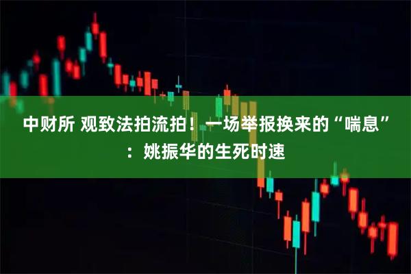 中财所 观致法拍流拍！一场举报换来的“喘息”：姚振华的生死时速
