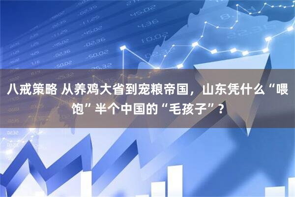 八戒策略 从养鸡大省到宠粮帝国，山东凭什么“喂饱”半个中国的“毛孩子”？